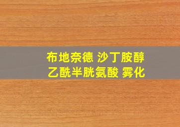 布地奈德 沙丁胺醇 乙酰半胱氨酸 雾化